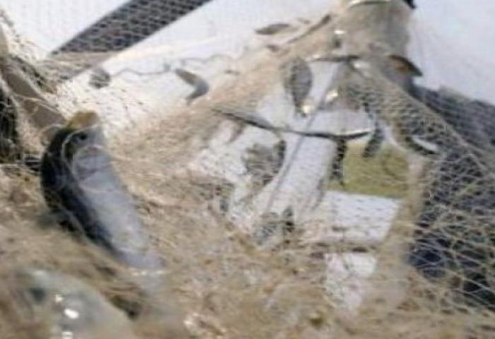 DPK Tangerang Hibahkan Alat Tangkap Ikan Ramah Lingkungan